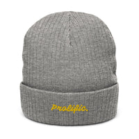 Prolific Ribbed knit beanie - Prolific Oasis